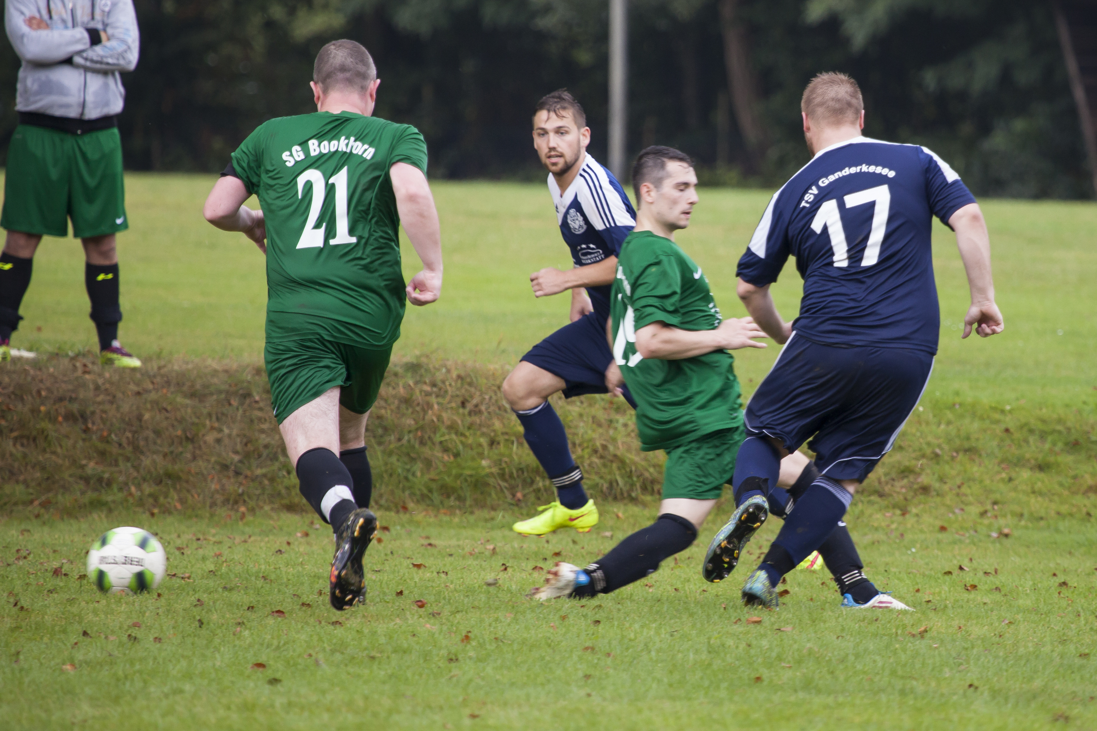 bookhorn_2 bookhorn_2