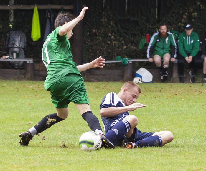 bookhorn_1 bookhorn_1